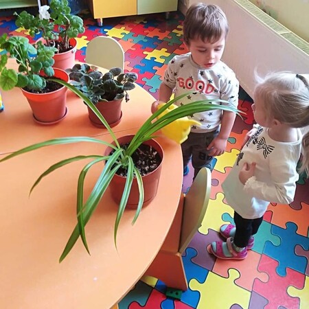 Antoshka Kids на Костромской