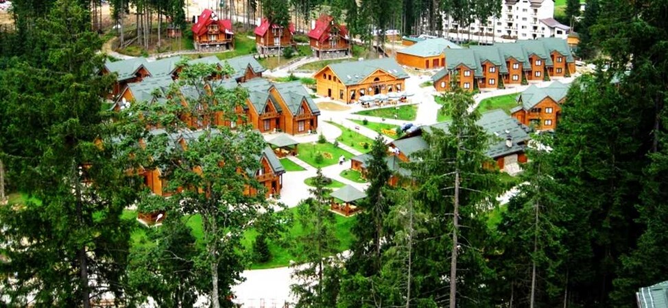 Артек Буковель Лісовий